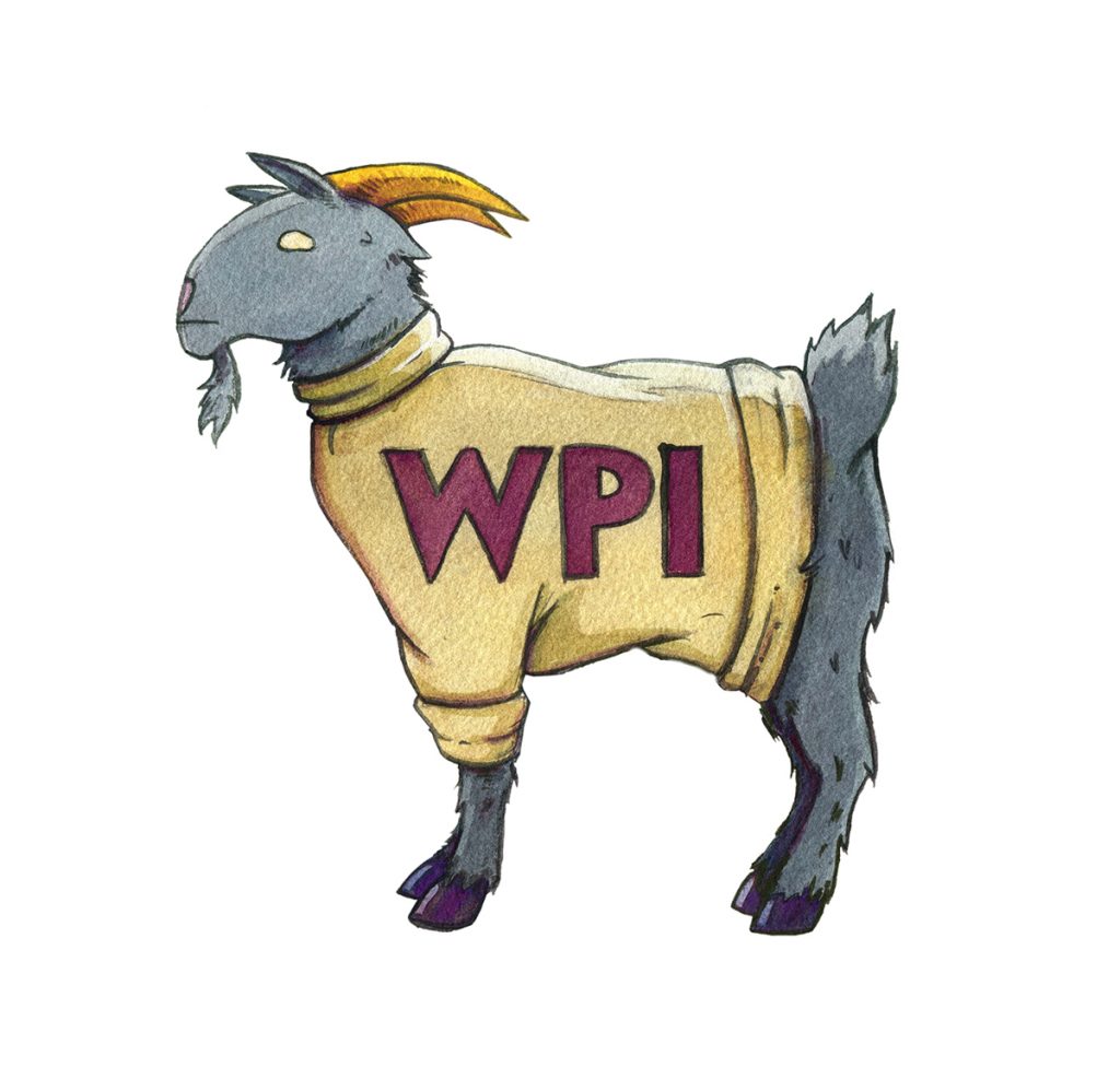Gompei the goat in his WPI sweater